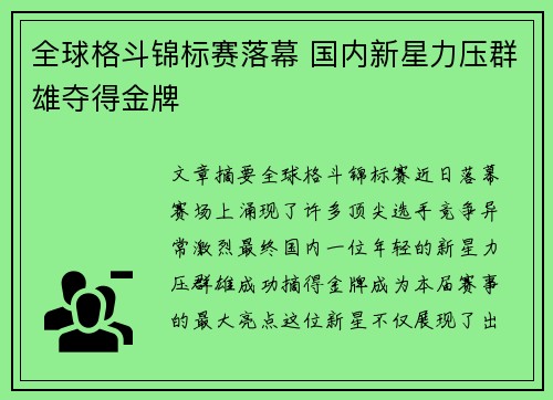 全球格斗锦标赛落幕 国内新星力压群雄夺得金牌