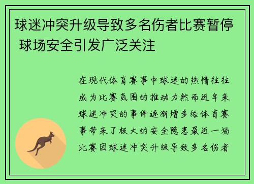 球迷冲突升级导致多名伤者比赛暂停 球场安全引发广泛关注
